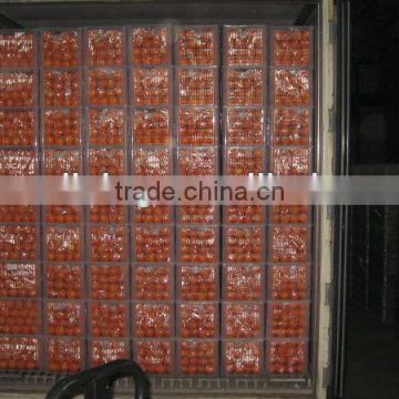 wax carton or plastic box navel orange