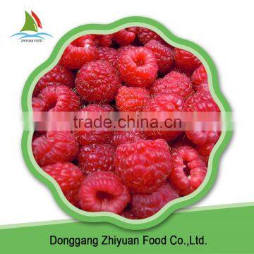 2016 New Crop IQF Frozen Raspberry on Sale photo-2