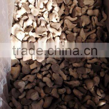 Top Quality China Mushroom With Good Price photo-4