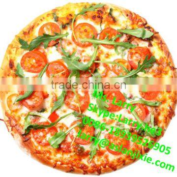 Conveyor Pizza Oven for Sale/pizza Oven Conveyor/conveyor Belt Pizza Oven photo-6