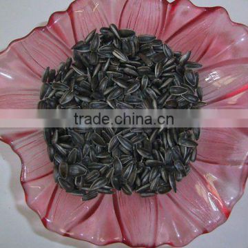 2015 New Crop Oil sunflower seeds