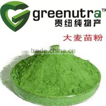 Natural Wheat Grass Powder