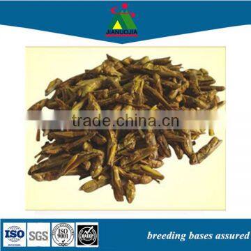 dried pet food product locusts