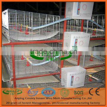 Broiler Rearing Cage for Poultry Farm