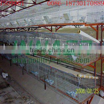 Offer Rabbit Steel Cage(ISO9001) with Automatic Machine