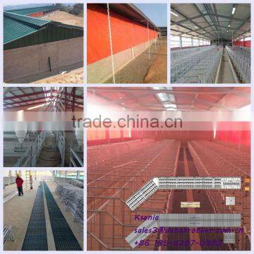 Hog Farrowing Crates Manufacturer