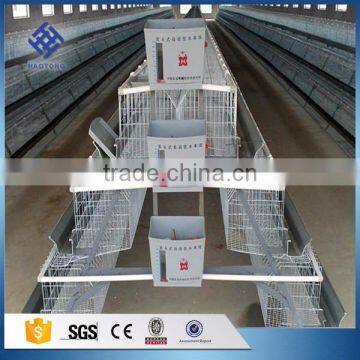 30 Years' factory supply battery cages for layer chicken