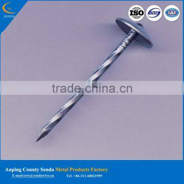 Roofing Nail Made in China 2016 Hot New Product photo-2