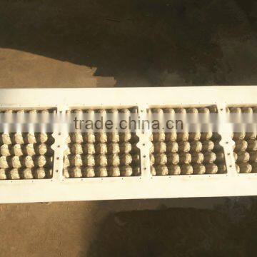 Plastic Egg Tray Mold photo-4