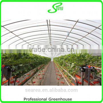 Single Span Commercial Used Greenhouse for Rose photo-4