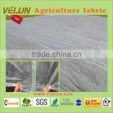 Manufacture eco-friendly PP fabric for ground cover andvegetation cover