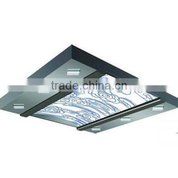 Auspicious Clouds Stainless Steel Elevator Light Panel Ceiling