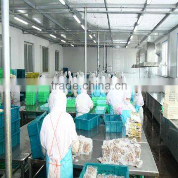 VACCUM CLAM FROM CHINA FOR EXPORT photo-2