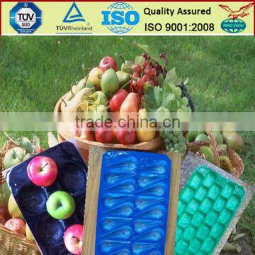 China Professional Manufacturer&Exporter Cheap Food Grade Disposable Soft Thin Plastic Serving PP Fruit Tray photo-6