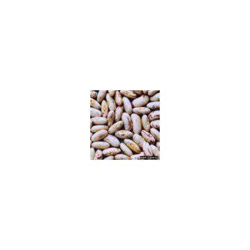 Sell Light Speckled Kidney Beans