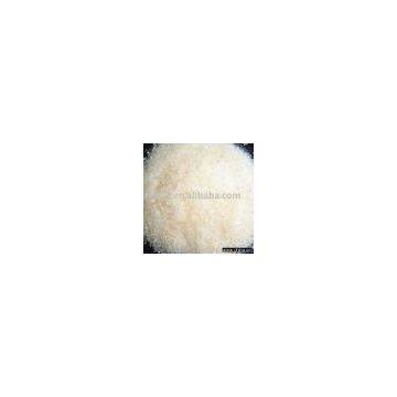 Bone glue