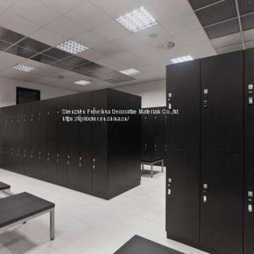 Yoga and Gym Dressing Room Locker 2 Doors Locker photo-2