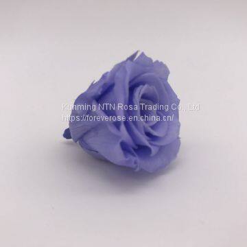 Top Festival Party Decoration Preserved Flower Supplier photo-5