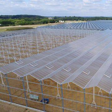 Hot Dip Galvanized Steel Frame Greenhouse with PC Sheet Covering