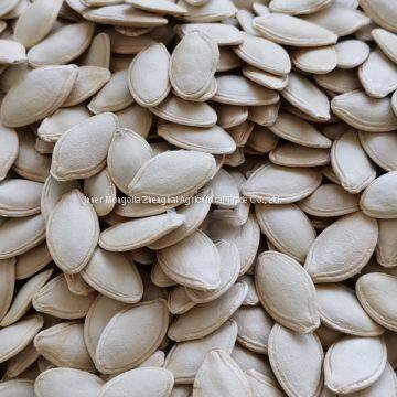 Shine Skin Pumpkin Seed