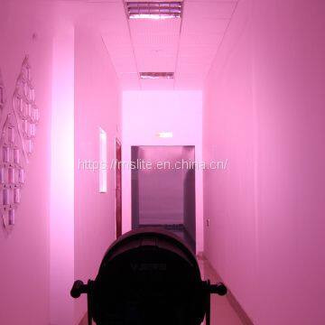 WAREHOUSE 4pcs/Lot Cheap Led Par Light 5W RGBW DJ Stage Effect photo-5