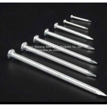Good Quality Galvanized White Zinc Square Boat Nail Nails China Concrete photo-3