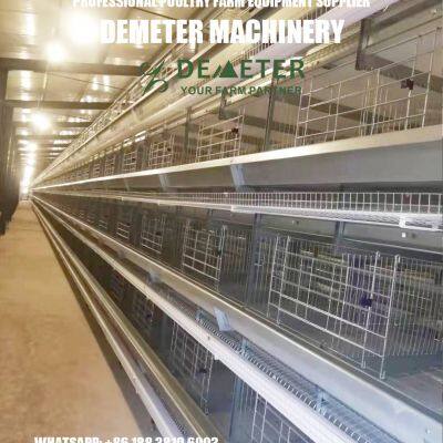 Layer Chicken Battery Cage Automatic Equipment photo-5