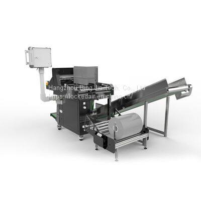 Automatic Bagging Machine