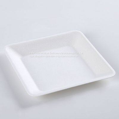 Disposable Biodegradable 6 INCH Square Plate Take Away Sugarcane