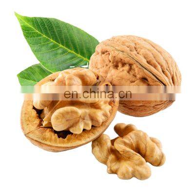 Vietnam Walnuts/High Quality Dried Walnuts For Wholesales From Vietnam