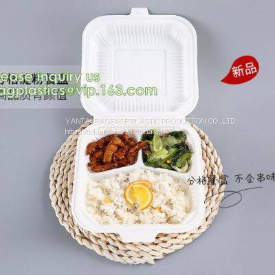 Biodegradable Disposable Trays, PLA Corn Starch Biodegradable Meat Tray, Cornstarch Disposable Biodegradable Plate photo-3
