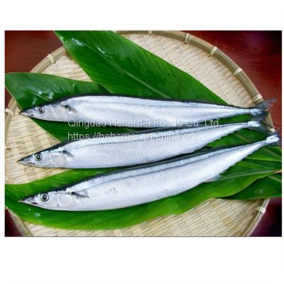 2021 new good quality fresh seafood frozen fish whole round pacific saury price for sale frozen pacific saury w/r