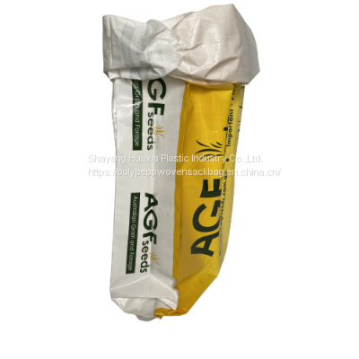 Manufactures Bbq Coal Barbeque Charcoal Briquettes Packaging Kraft Paper Bags for Sale photo-2