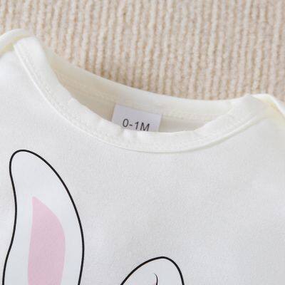 3pcs Newborn Baby's Solid Color/Cartoon Rabbit Print Long Sleeve Footie, Toddler & Infant Girl's Comfy Footed Romper For Spring Fall photo-4
