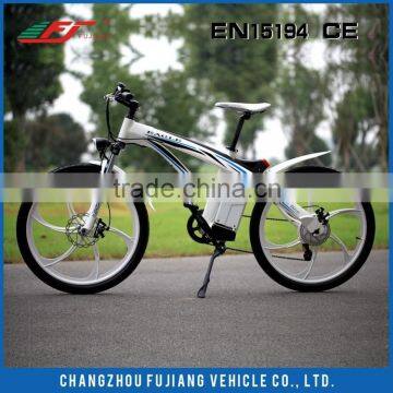 FJ-TDE01 Mountain Electric Bike, Colored Mountain Bike Rims photo-4