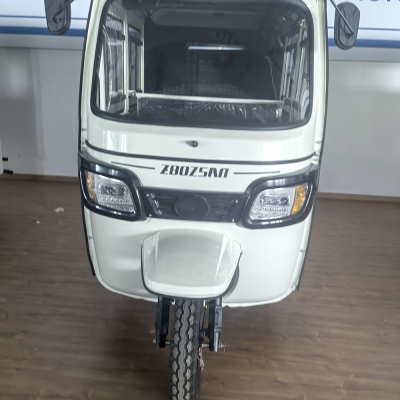 Hot Selling Safety and Best Price Four People Closed Electric Passenger Tricycles TUK Tuk Keke With Air-conditioner and Door photo-3