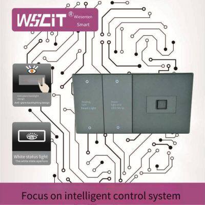 Double - Gang Golden Switch Socket, Switch Panel for Wall Switch, Brushed Gold, Two - Way Double - Control Fluorescent Large Panel, Champagne Gold