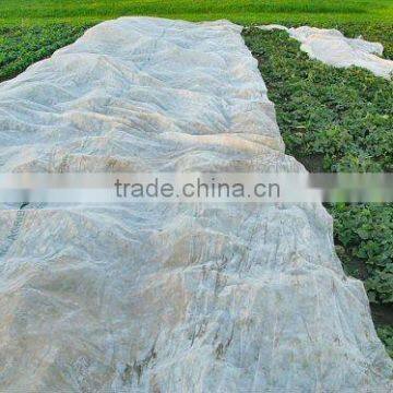 China non-woven landscape ground cover