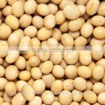 SOYA BEANS