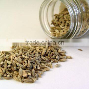 Cumin seeds