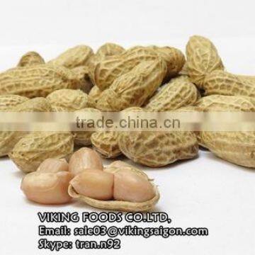 NEW CROP RED SKIN PEANUTS KERNEL/GROUNDNUTS