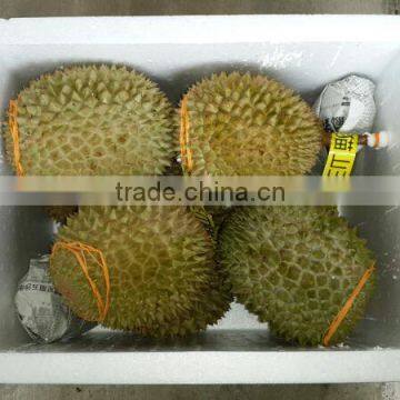 Fresh Frozen Durian photo-4
