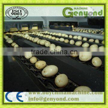 Fruit and vegetable grading machine