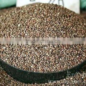 Brown Perilla Seed Wholesale, 2014 Harvest