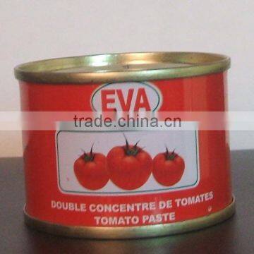 Printed 70gr Small Size Tomato Paste in Can