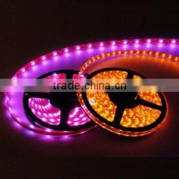 SMD5050 RGB LED Tape Light (SC-D114A)