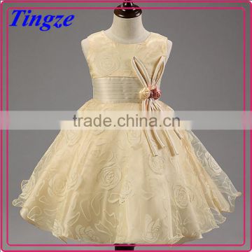 Hot selling fashion charming party dress boutique noble girl dress TR-WS05