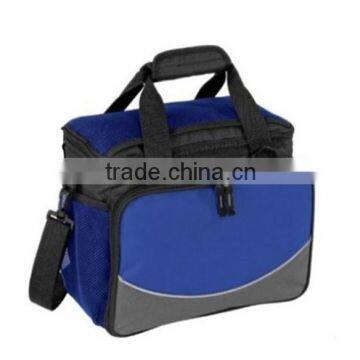 Cooler bag for frozen food