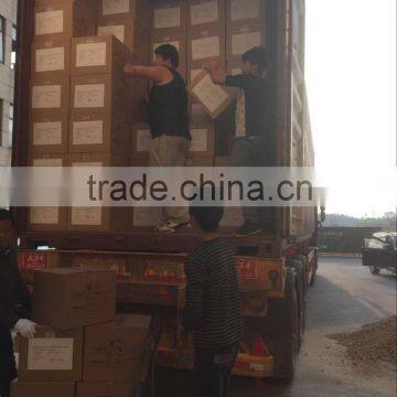 Projector Floor Stand Adjustable Projector Stand photo-6