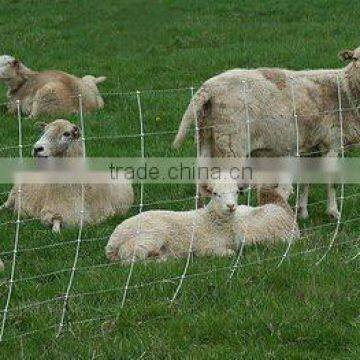 Anti-corrosion and heavy duty sheep and goat fence